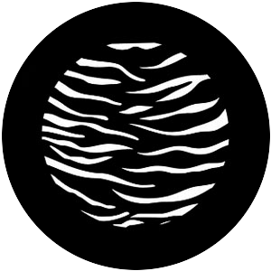 Tiger  Print