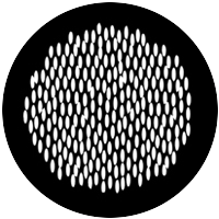 Lizard Skin
