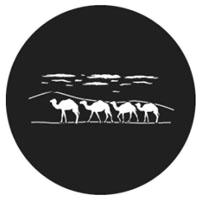 Camel Train