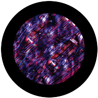 Molten Color