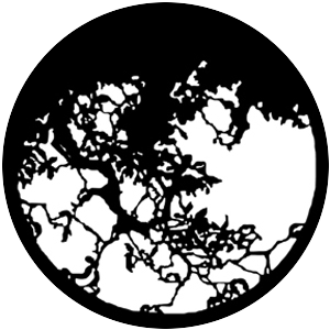 Hanging Branches