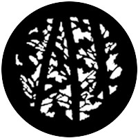 Pine Trees