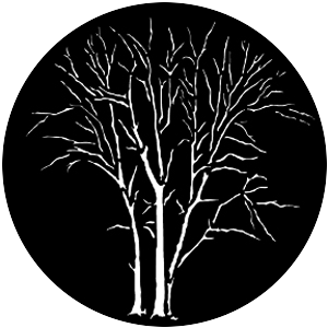 Winter Trees B