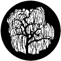 Tree 1