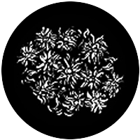 Floral 6