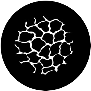 Giraffe Texture 2