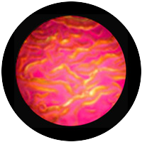 Magenta Ripple