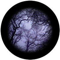 Cloud Branches