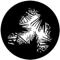 Dense Palm