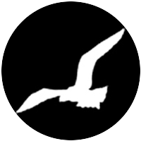 Gull