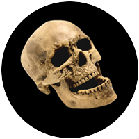 Laughing Skull