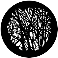 Martin Guerre Branches 1