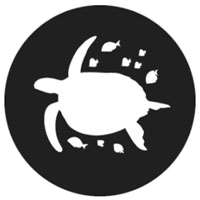 Sea Turtle