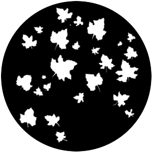 Autumn Leaves