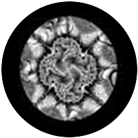 Fractal 1