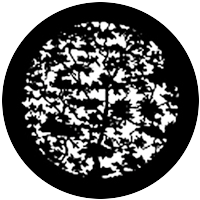 Tree 7