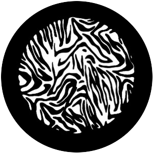 Zebra Print 1