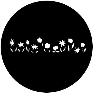 Fairytale Flowers