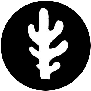 Tucci Cactus 1