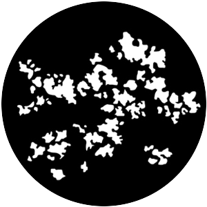 Foliage Breakup 4
