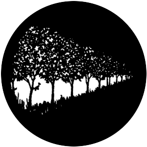 Row of Trees