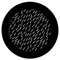 Thorn Fir