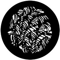 Jungle Leaves