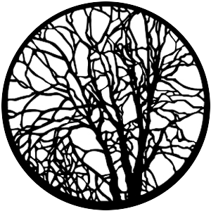 Bare Branches