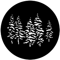 Pines