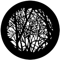 Martin Guerre Branches 2