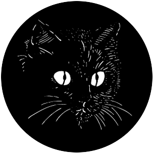 El Gato the Cat