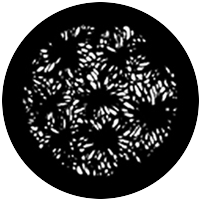 Floral 1