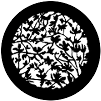 Vine Leaves