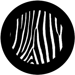Zebra Print 4