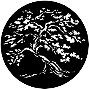 Twisted Tree