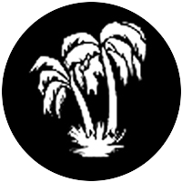 Palm Tree