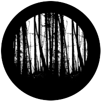 Standing Trees