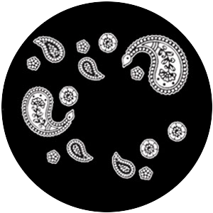 Paisley 3