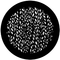 Rice Pattern