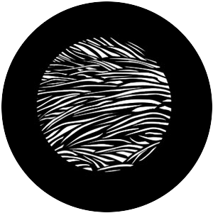Fur Texture