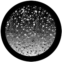 Organic Bubbles