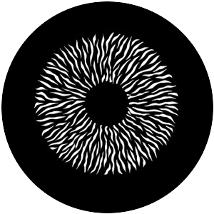 Radial Animation