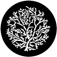 Bare Branches (Reversed)