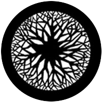 Circular Wood