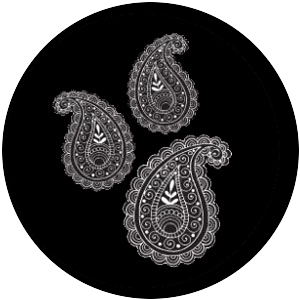 Paisley 4