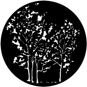 Grove C
