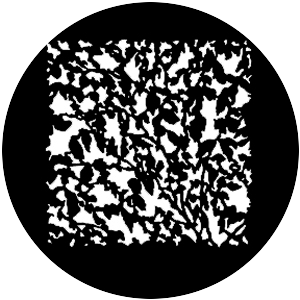 Summer Leaves SQ