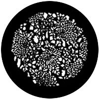 Floral 4
