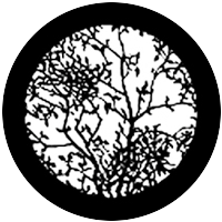 Leafy Branches 2