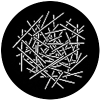Wrectilinear